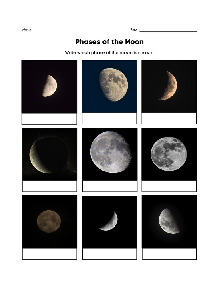 Moon Phases Worksheet and Answer Key | PDF