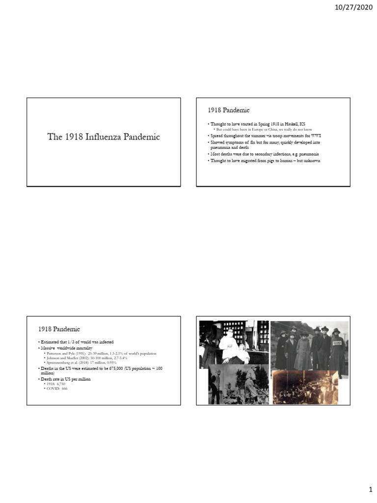 The 1918 Influenza Pandemic - A | PDF