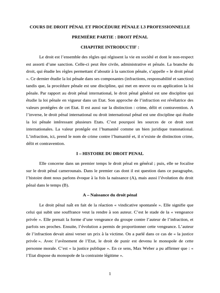 Droit pénal et procédure pénale L3 | PDF | Loi criminelle | Crimes