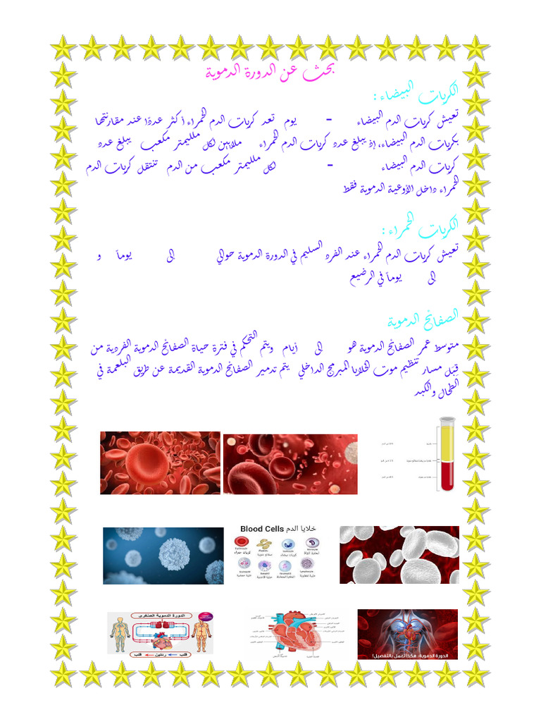 بحث عن الدورة الدموية | PDF