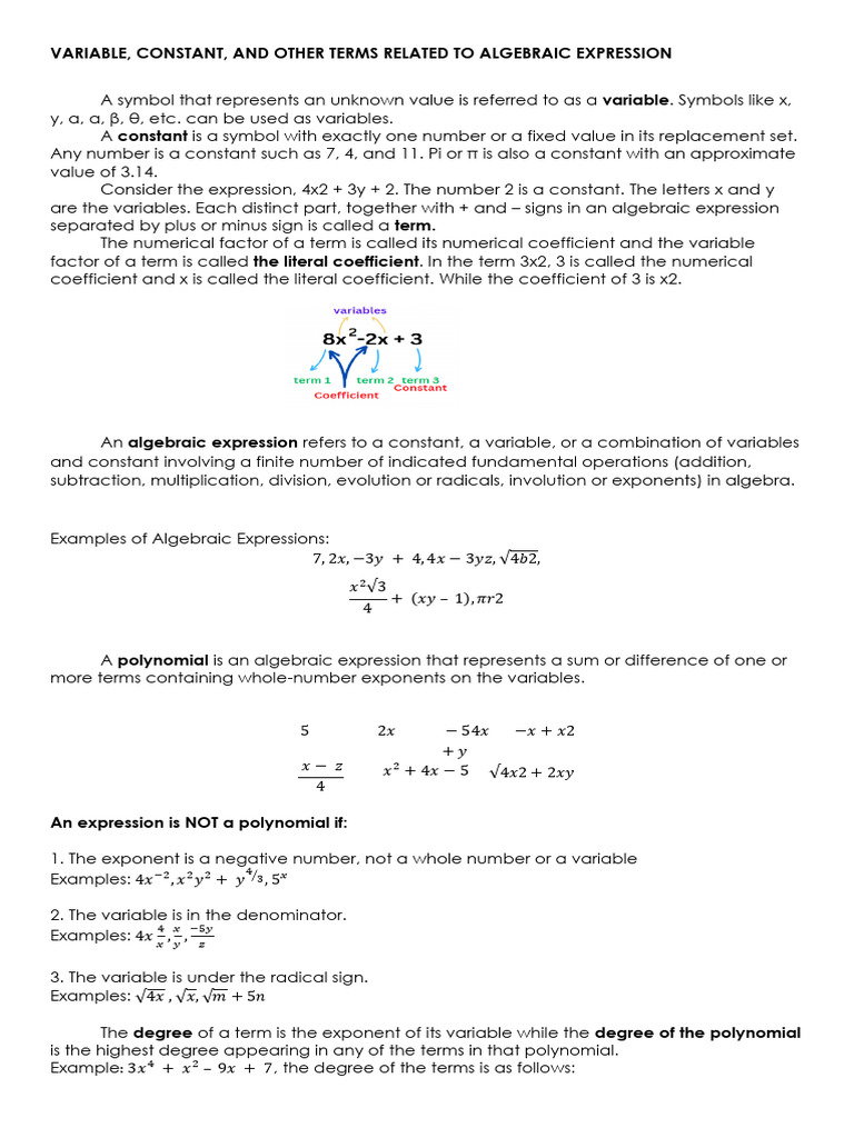 Understanding Algebraic Expressions and Terms | PDF | Mathematics | Algebra