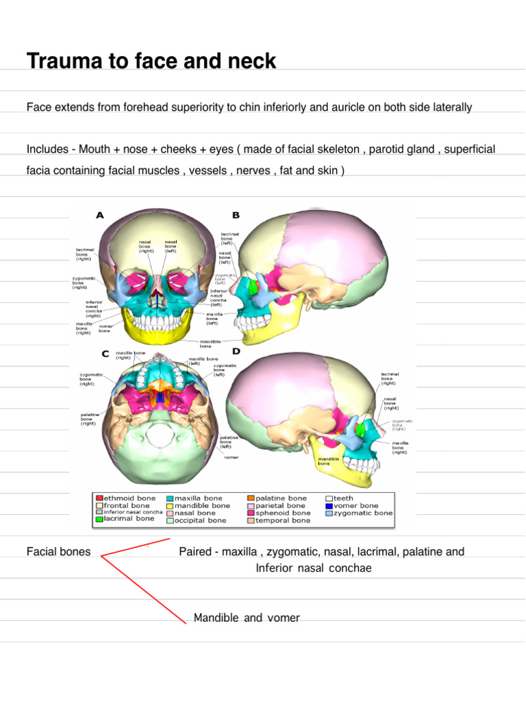 Facial Trauma Management and Treatment | PDF