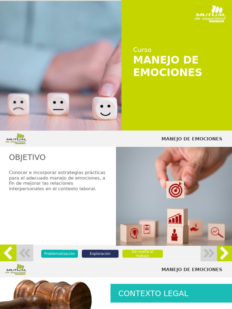 Manejo de Emociones | PDF | Las emociones | Sicología