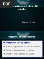 Doppler Waveform Patterns Explained | PDF | Vein | Cardiovascular System