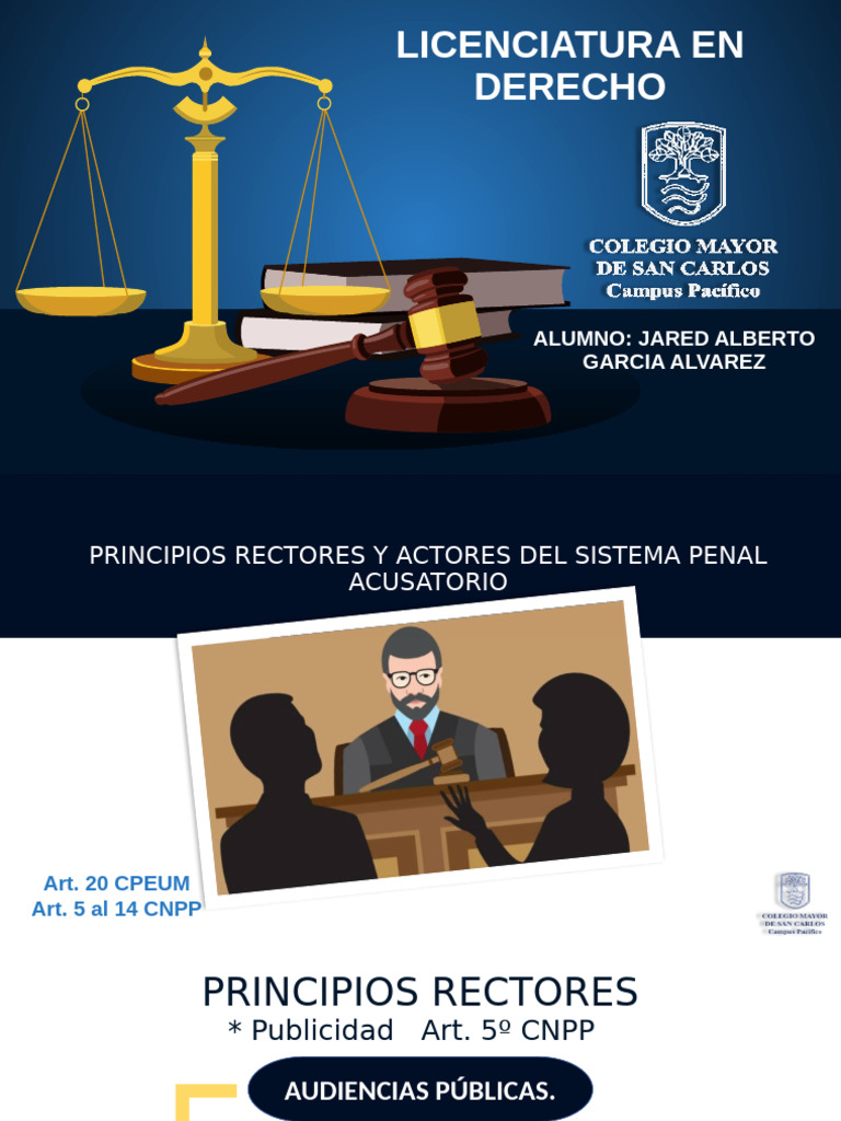 Principios y Actores del Sistema Penal | PDF | La justicia restaurativa ...