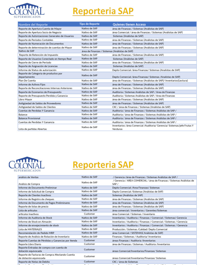 Guía de Reportería en SAP | PDF | Business