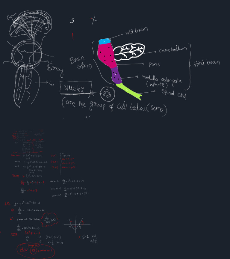 Math and Bio | PDF