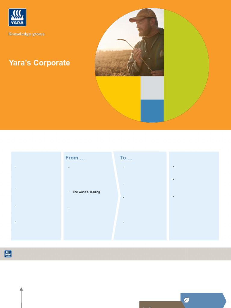 Yara Corporate Strategy Overview 2021 | PDF | Fertilizer | Agriculture