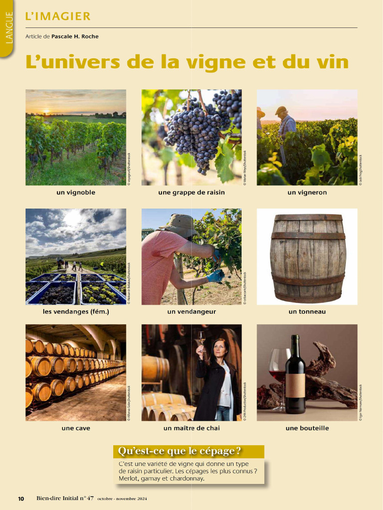 Dco Thme Vigne Et Vin