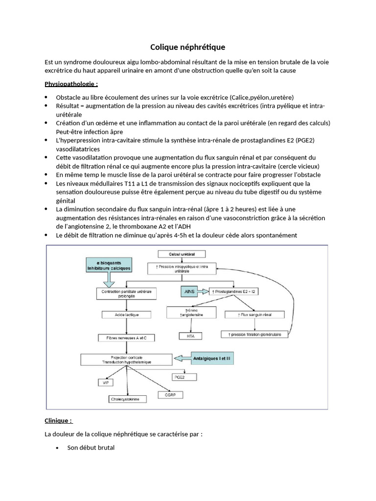 Colique néphrétique : causes et traitement | PDF | Système génito ...