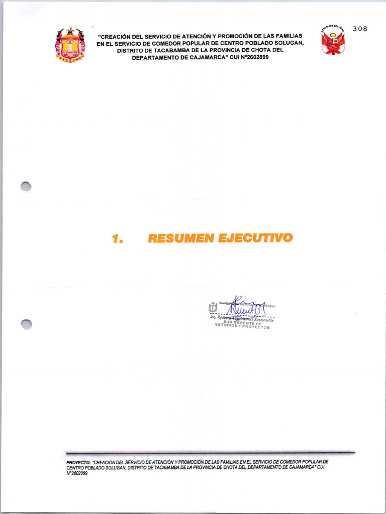 Rsumen+ejecutivo 20240228 224835 938 | PDF