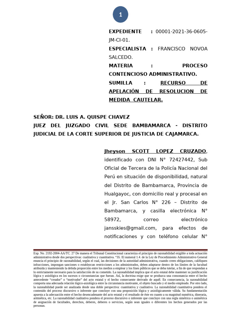 Apelacion Scott Lopez Cruzado - Medida Cuatelar-Bambamarca Nuevo | PDF ...