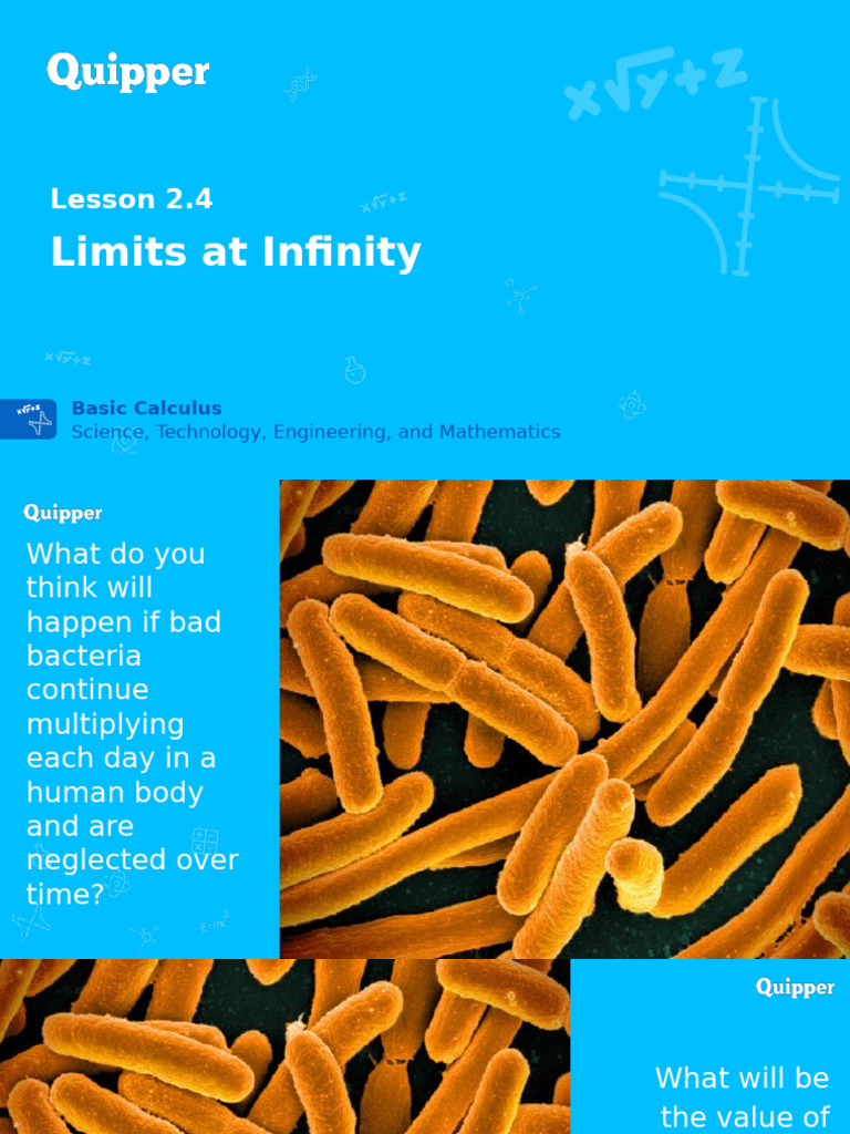 Limits at Infinity in Calculus | PDF | Polynomial | Exponential Function