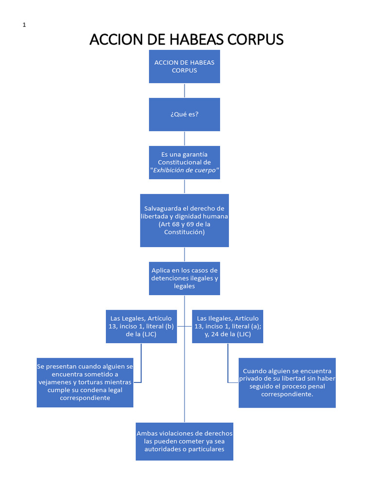 Procedimiento de Habeas Corpus y Data | PDF | Habeas corpus | Judicaturas