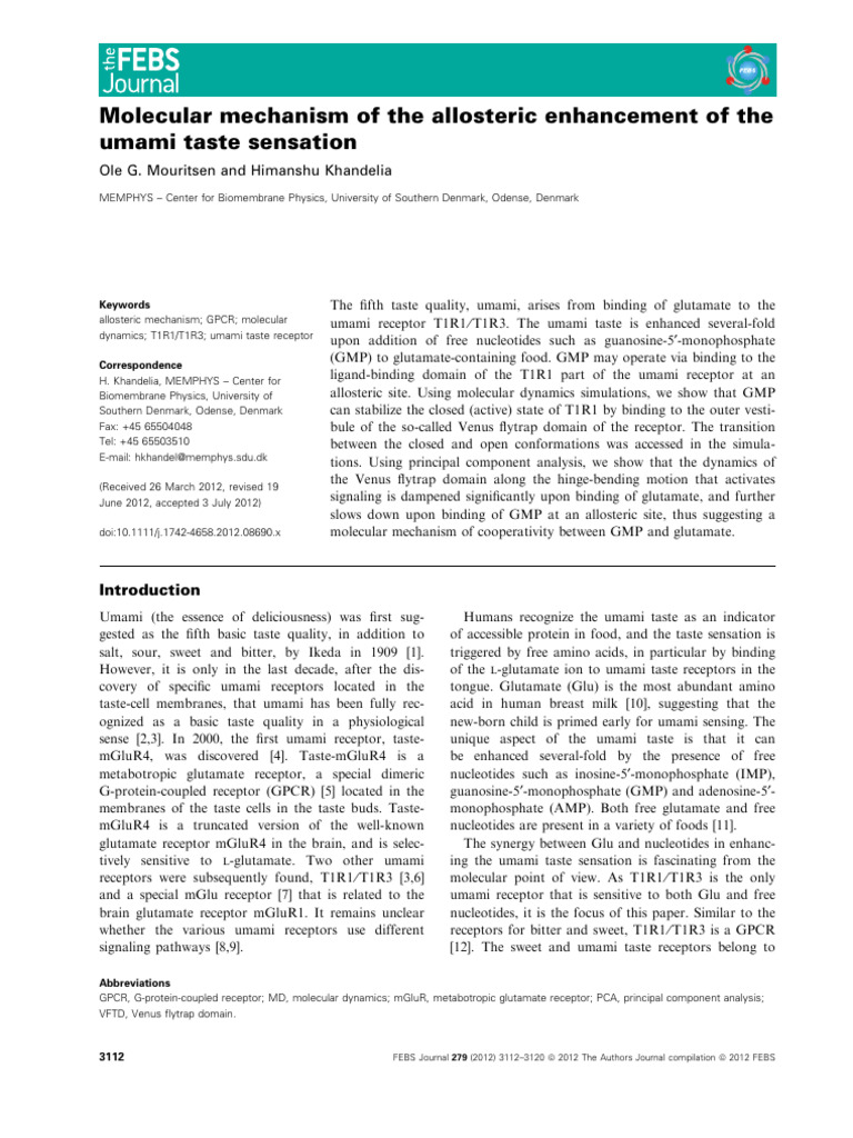 Allosteric Mechanism of Umami Taste | PDF | Umami | Taste