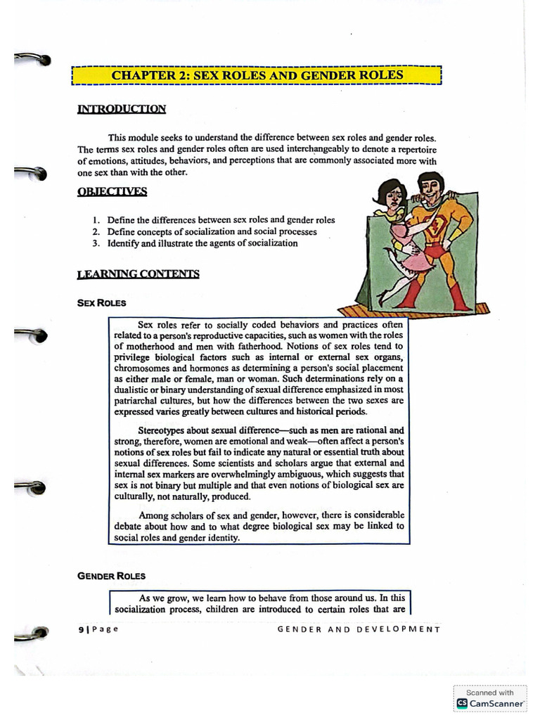 Chapter 2 Sex Roles and Gender Roles | PDF