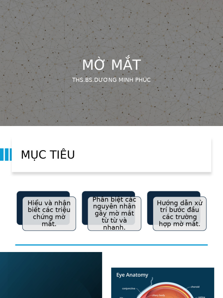 Mờ Mắt | PDF