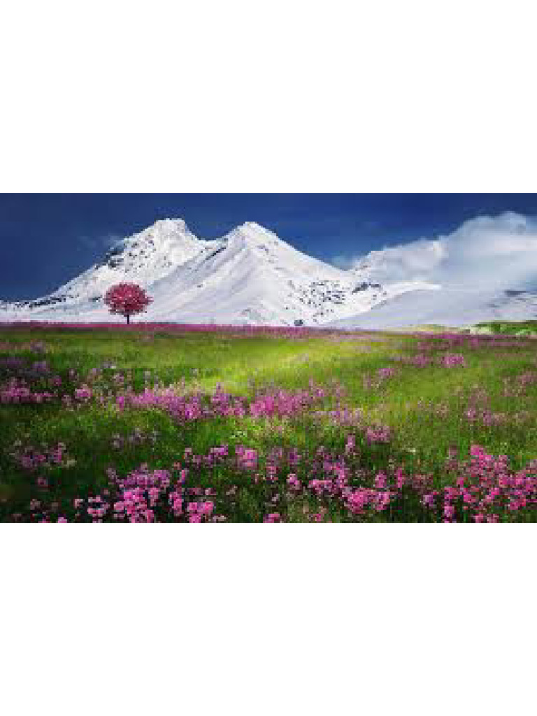 Landscape | PDF