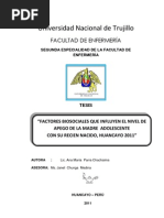 Tesis Embarazo Embarazo Adolescente Juventud