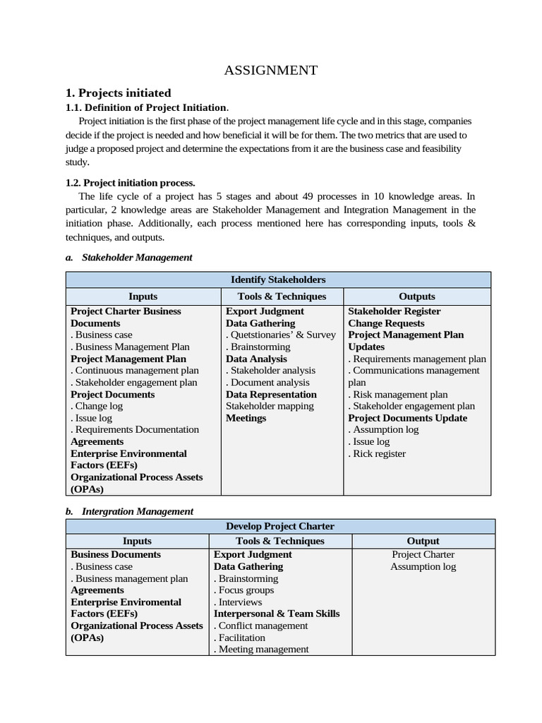 Project Initiation and Feasibility Study Guide | PDF