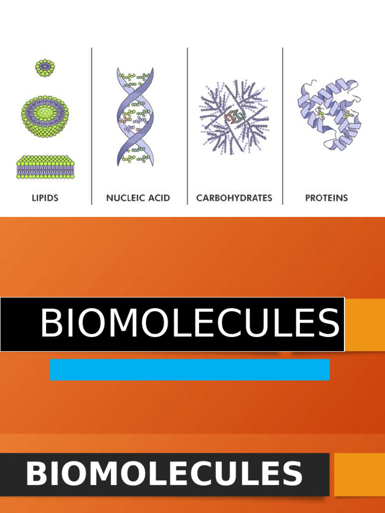 BIOMOLECULES | PDF | Biomolecules | Carbohydrates