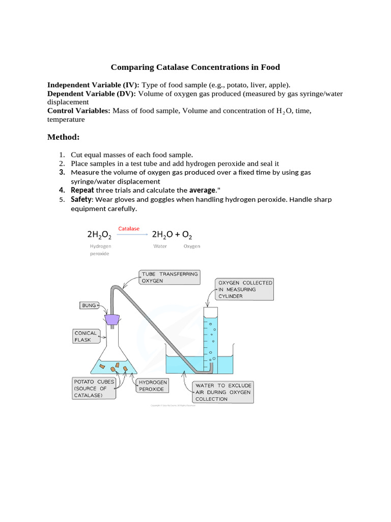 catalase | PDF