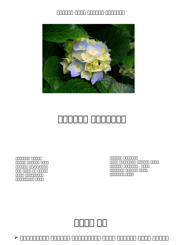 Mathematics Class-Part 1 (PowerPoint) | PDF