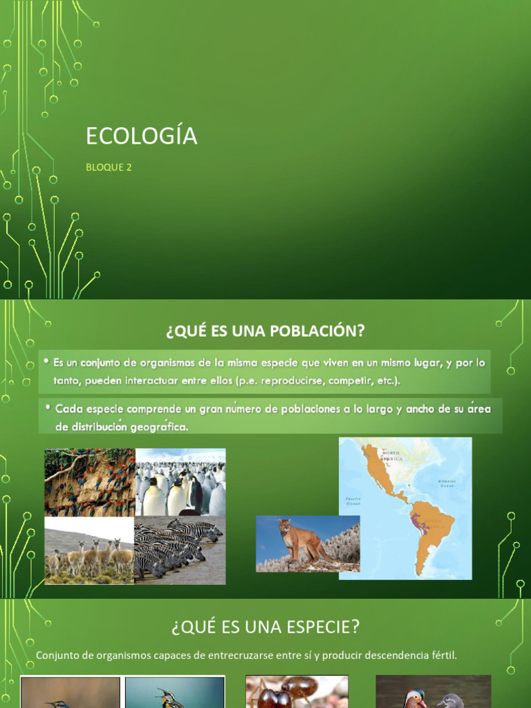 Conceptos Clave en Ecología y Poblaciones | PDF | Ecología | Ecosistema