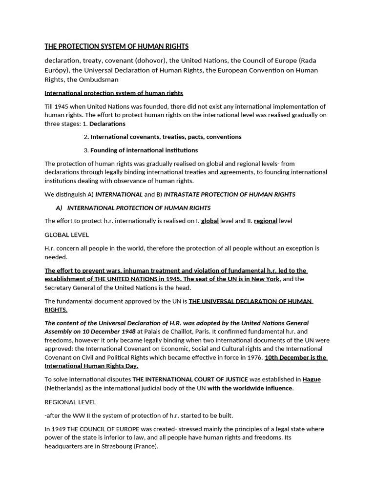 THE PROTECTION SYSTEM OF HUMAN RIGHTS | PDF | Human Rights | United Nations