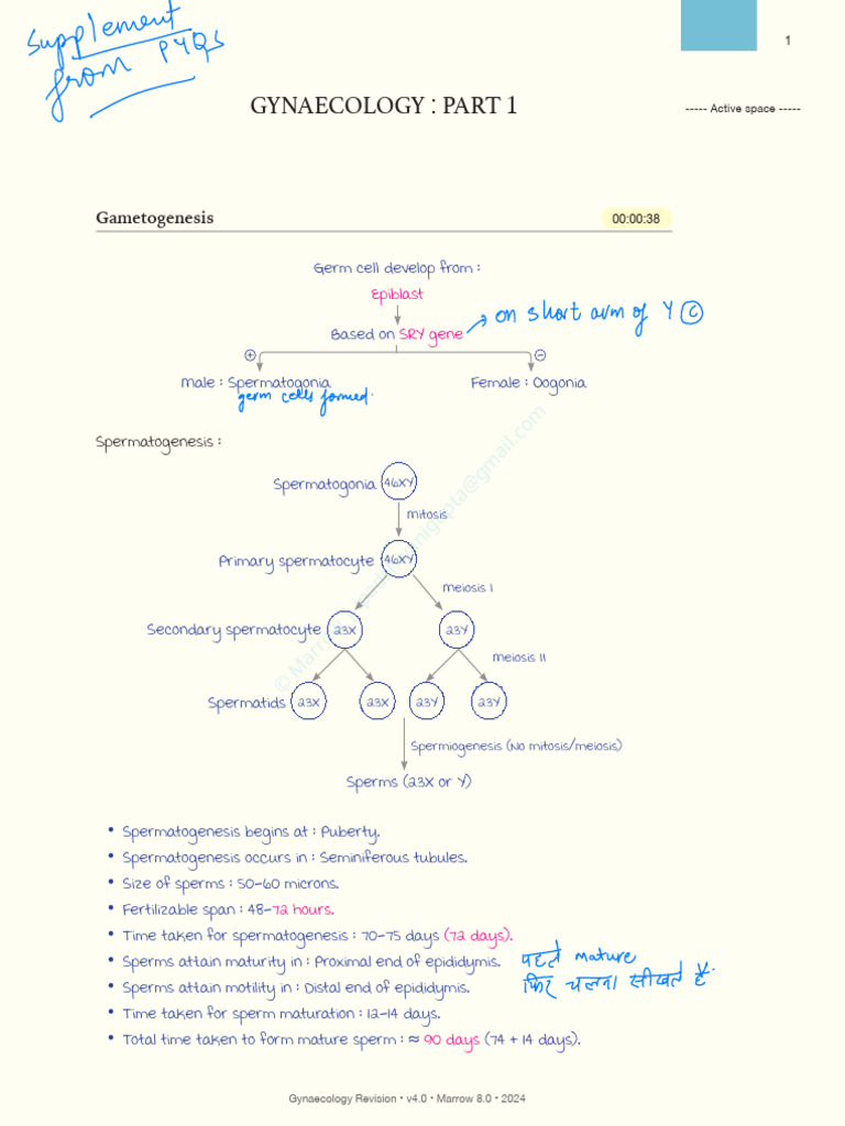 Gynaecology Revision: Gametogenesis & Menstrual Cycle | PDF ...