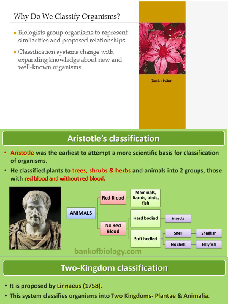 Classification | PDF | Cell (Biology) | Model Organism