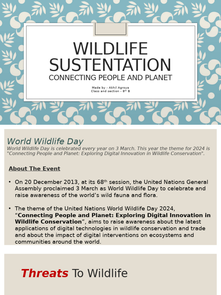 AI in Wildlife Conservation 2024 | PDF | Artificial Intelligence ...