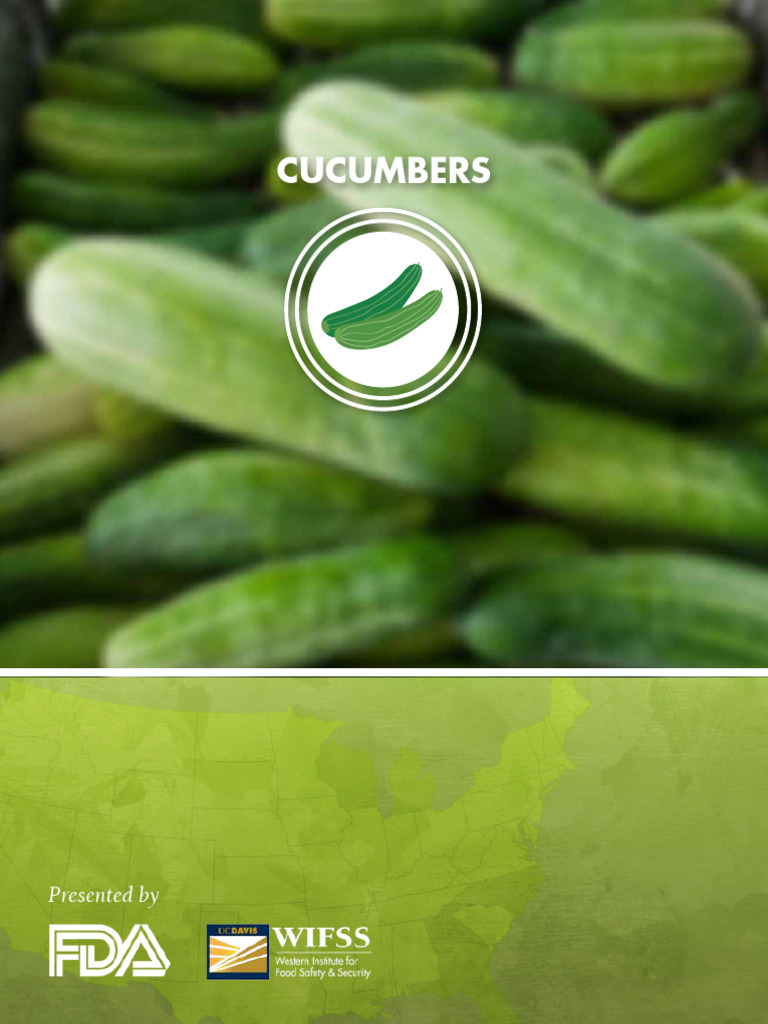 Cucumber Production Overview | PDF | Cucumber | Mulch