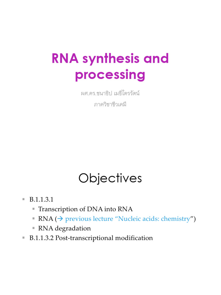 RNA Synthesis and Processing Overview | PDF | Rna Splicing | Messenger Rna