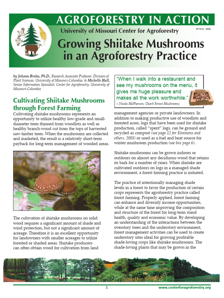 Growing Shiitake Mushrooms in An Agroforestry Practice | PDF | Umami ...