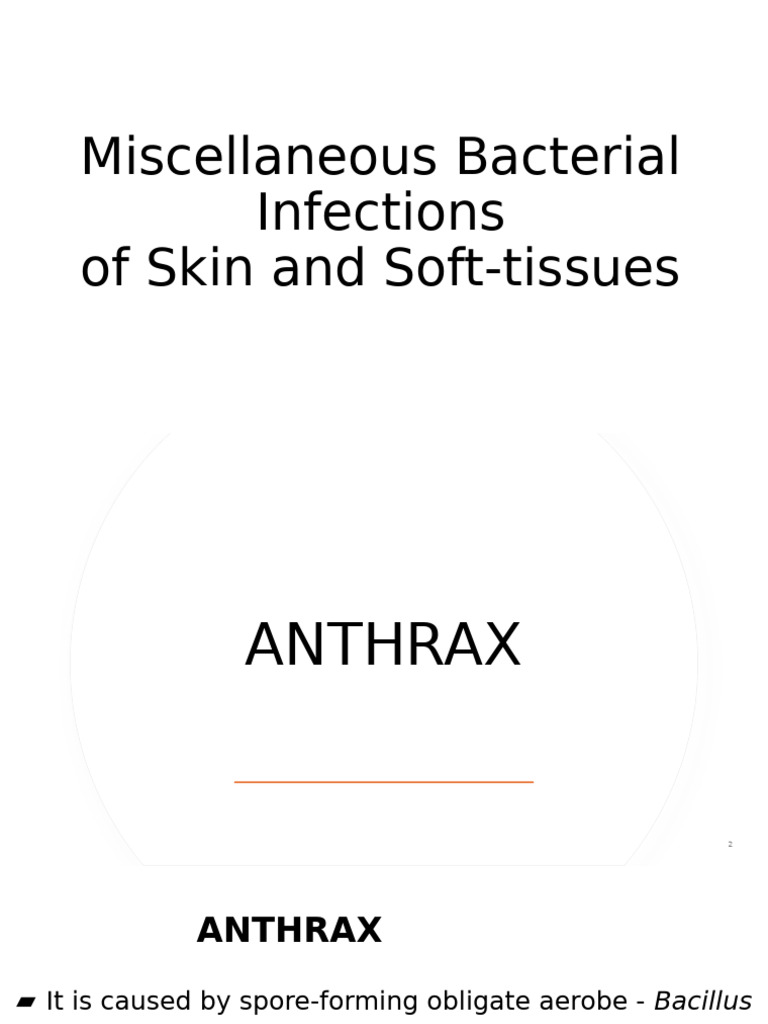 Anthrax: Bacterial Infection Overview | PDF | Anthrax | Bacillus