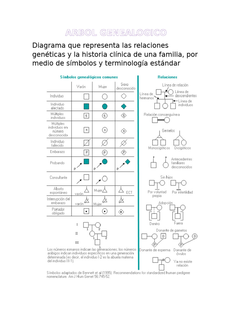 Arbol Genealogico | PDF