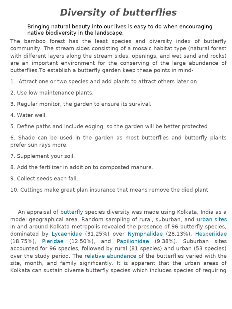 BUTTERFLY | PDF