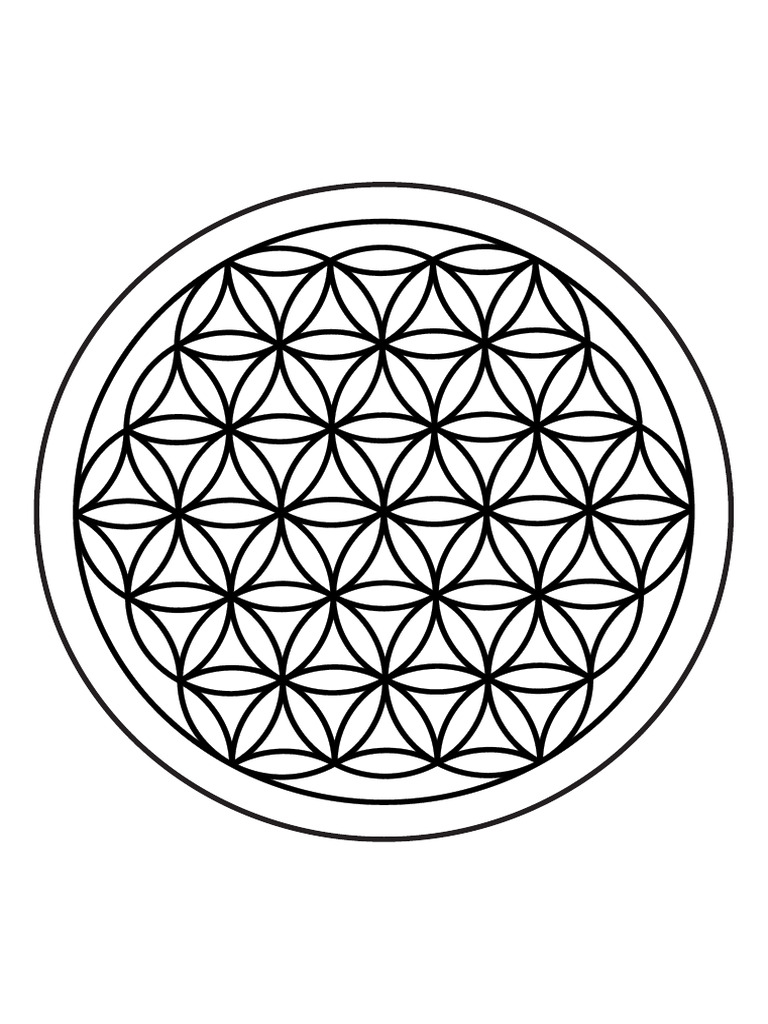 Gráfico Flor Da Vida Pdf