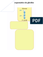 Metabolismo3