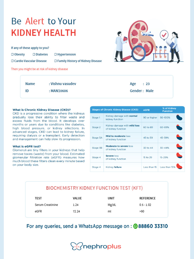 Kidney Function Test Results for Vishnu | PDF