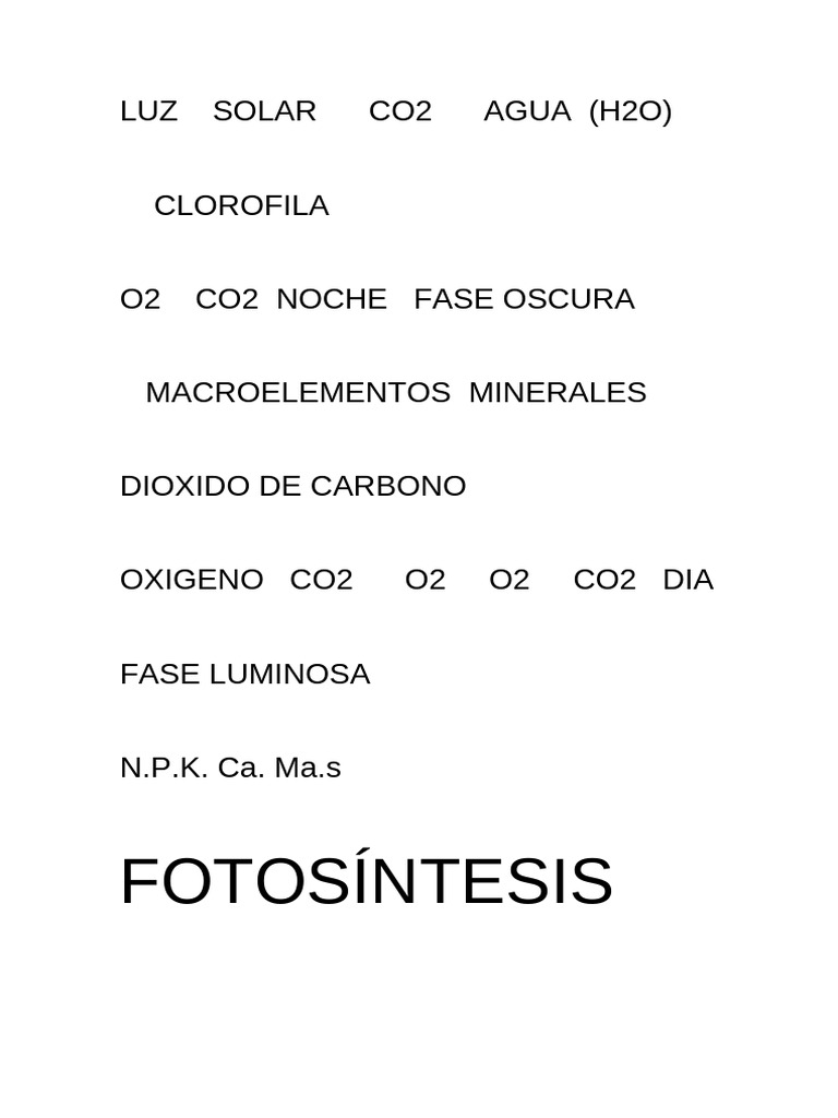 Proceso de Fotosíntesis y Elementos Clave | PDF