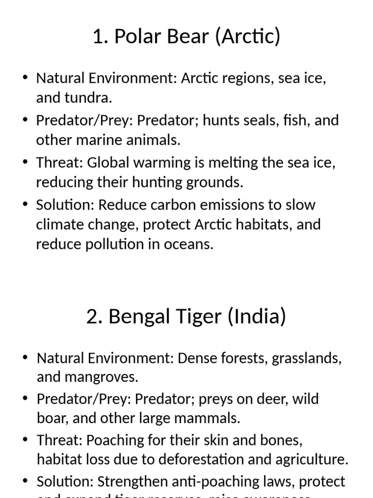 Animals at Risk Presentation | PDF | Habitat Destruction | Predation