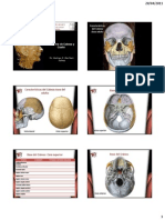 Anatomia UAP5[1]