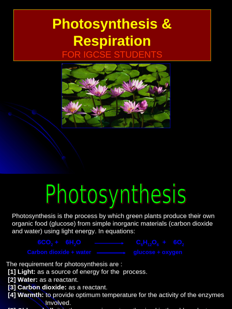 Photosynthesis and Respiration Guide for IGCSE | PDF | Photosynthesis ...
