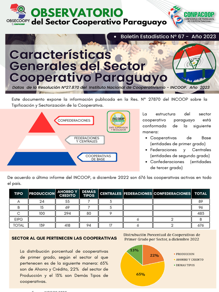 Estructura del Sector Cooperativo Paraguayo | PDF