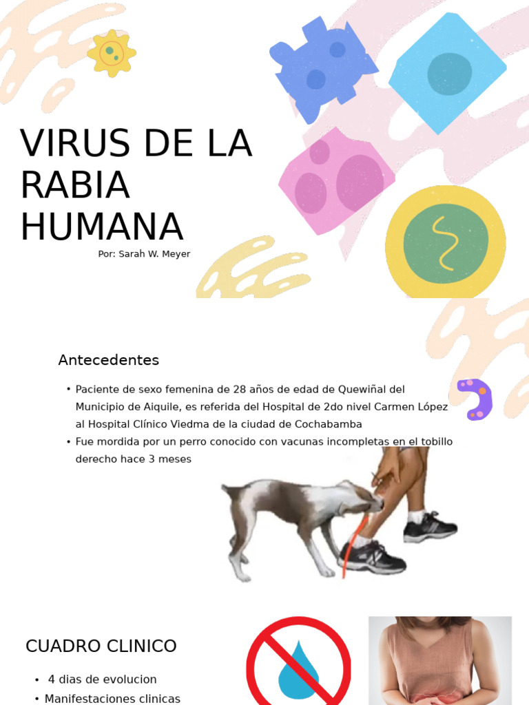Rabdovirus Virus de La Rabia | PDF | Rabia | Inmunología