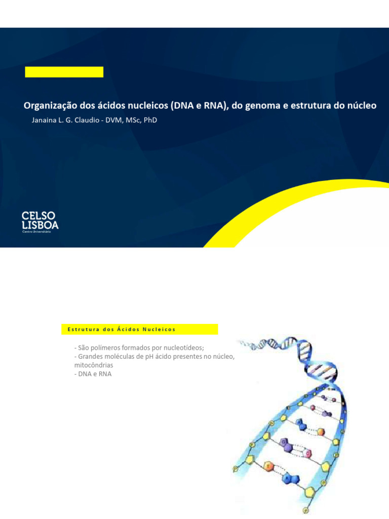 Aula 4 - Organização Do Genoma, Estrutura Do Núcleo e Dos Ácidos ...