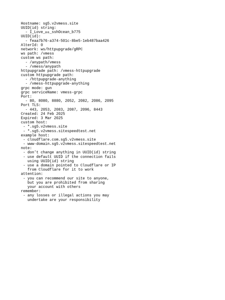 Vmess Configuration Guide for sg5.site | PDF