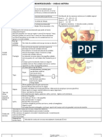 2. NEUROFISIOLOGÍA